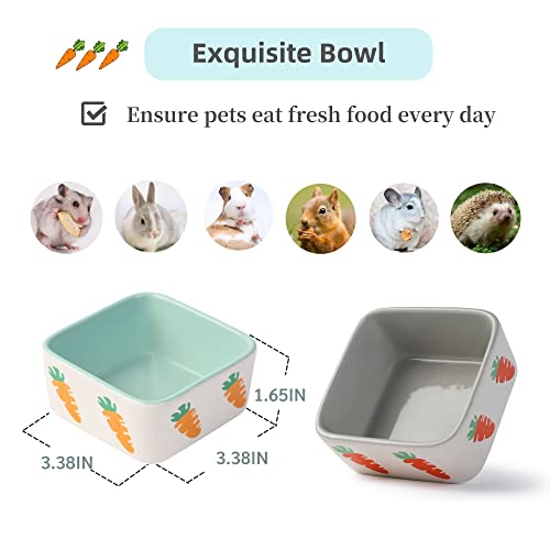  JanYoo Rabbit Accessories Chinchilla Food Bowl And Water Bowls Feeding Ceramic Set For Bunnies Cage Blue Grey (2 Pack)