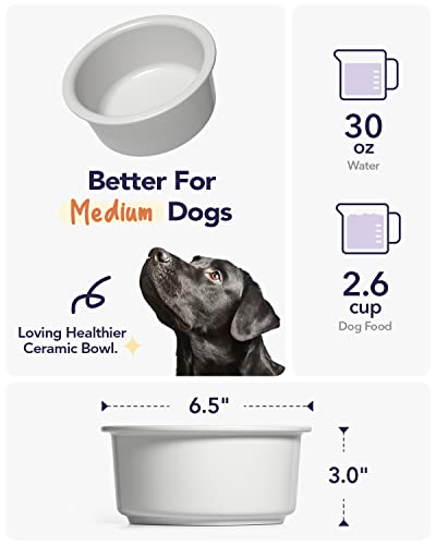  LE TAUCI PET Ceramic Dog Bowl, 2.6 Cups Dog Water Bowl, Weighted Dog Food Bowl Dish For Small Medium Breed, Fit For Dog Bowl Stand With Hole Opening Between 5.75" - 6.25"