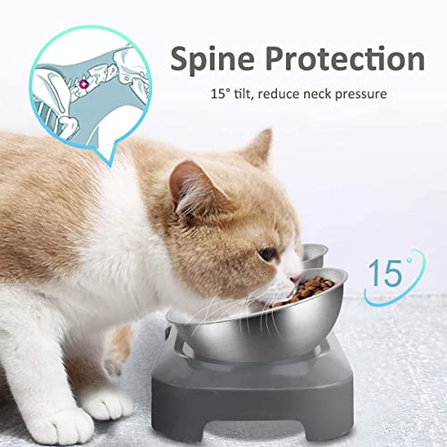  AYADA Raised Cat Food Bowl Set, Stainless Steel Cat Dish For Food Water Anti Vomiting Elevated With Stand Ergonomic Lifted Slanted Tilted 15 Angle Metal Double Kitty Kitten Wet Food Bowl 2 Pet Bowl