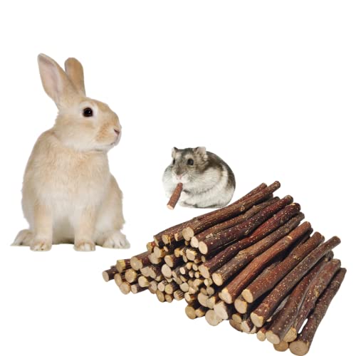 XLpeixin Apple Sticks Natural Chew Toys And Treats For Chinchilla Guinea Pig Hamster Gerbil Rabbit Chew Toys For Teeth,Chew Sticks For Rabbits (Thin 600g-21oz)…
