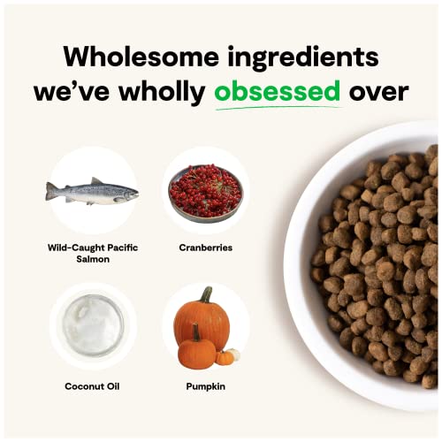  Open Farm Wild-Caught Salmon Grain-Free Dry Dog Food, Fresh Pacific Salmon Recipe With Non-GMO Superfoods And No Artificial Flavors Or Preservatives, 4 Lbs