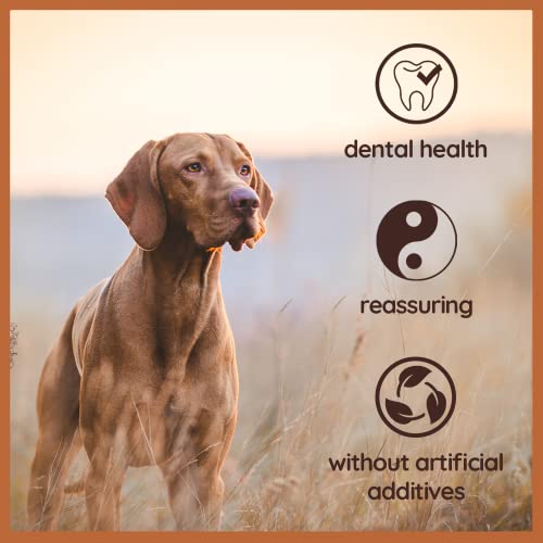  Wildfang® | Chewing Root Made From Tree Heather For Dogs, Dental Care & Masticatory Muscle Training, Natural Chew Toy……