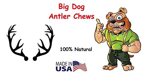  Premium Deer Antler Pieces - Dog Chews - Antlers By The Pound, One Pound - Six Inches Or Longer - Medium, Large And XL - Happy Dog Guarantee!