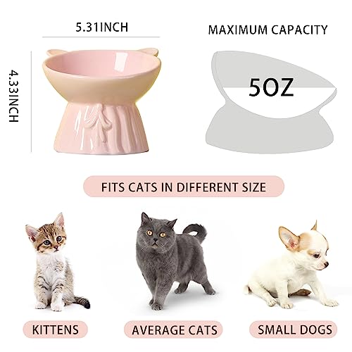  Cat Food Bowls Elevated Tilted, Cute Ceramic Cat Food Bowls, Elevated Cat Food Bowl Whisker Friendly, Anti Vomit & Reduce Neck Burden, Raised Cat Bowl For Food And Water (Pink)