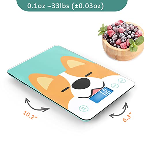 GENERIC Pet Weight Scale For Newborn Cats And Puppies, 33lbs With 1 Gram Accuracy, Designed For Pets Babies And Reptiles (Tiffany Blue)