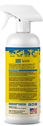  Kids 'N' Pets – Instant All-Purpose Stain & Odor Remover – 27.05 Oz - (800 Ml) – Pack Of 2 - Proprietary Formula Permanently Eliminates Tough Stains & Odors – Even Urine Odors
