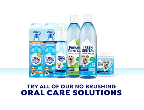  Naturel Promise Fresh Dental Clean Teeth Gel, 4 Fl Oz - Easy To Use Pet Dental Gel That Helps Remove Plaque, Tartar, And Freshen Breath-No Brushing Pet Oral Care For Dog Dental Care, Cat Dental Care