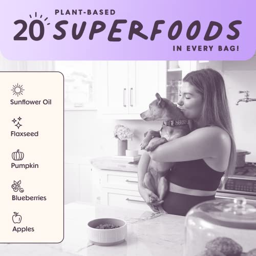  Bundle X Joy Vibrant Salmon Superfood Dog Food - 4lb Bag - Probiotics - Poultry Free