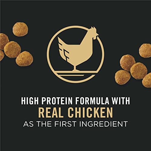  Purina Pro Plan High Protein Dry Puppy Food, Chicken And Rice Formula - 6 Lb. Bag