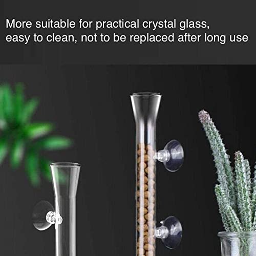 GENERIC 2in1 Shrimp Feeding Tube And Dish, Clear Crystal Glass Shrimp Feeder Tube Tray For Fish Tank Aquarium Shrimp (10in Feeding Tube + 60mm Dish)