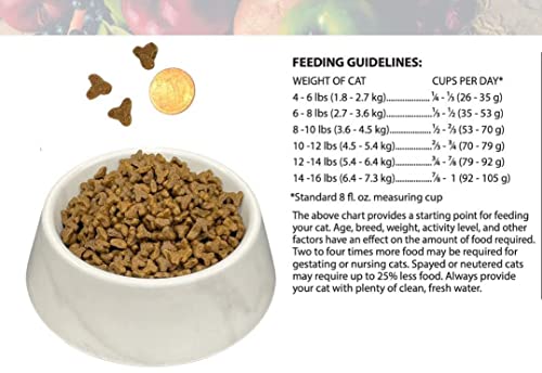  Bench & Field Holistic Natural Premium Adult Dry Cat Food, Chicken Meal And Brown Rice Recipe 3 Lb Bag (Pack Of 1)