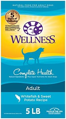  Wellness Complete Health Dry Dog Food With Grains, Made In USA With Real Meat & Natural Ingredients, All Breeds, Adult Dogs (Whitefish, 30-lb) – With Nutrients For Immune, Skin, & Coat Support