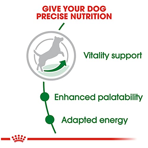  Royal Canin Small Adult 8+ Dry Dog Food, 2.5 Lb Bag