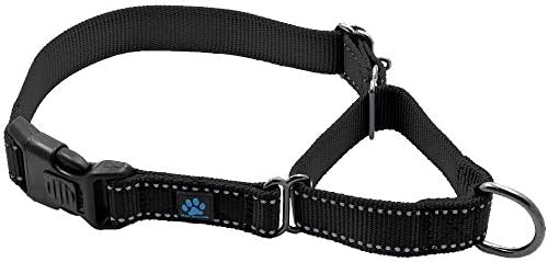  Max And Neo Nylon Martingale Collar - We Donate A Collar To A Dog Rescue For Every Collar Sold (Medium, Teal)