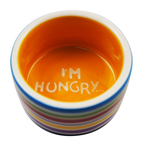  OMEM Hamster Food Bowl Ceramic Prevent Being Tipped Over Small Animal Water Dish For Guinea Pig Rodent Gerbil Cavy Hedgehog Feeding Bowl (Rainbow Stripe)