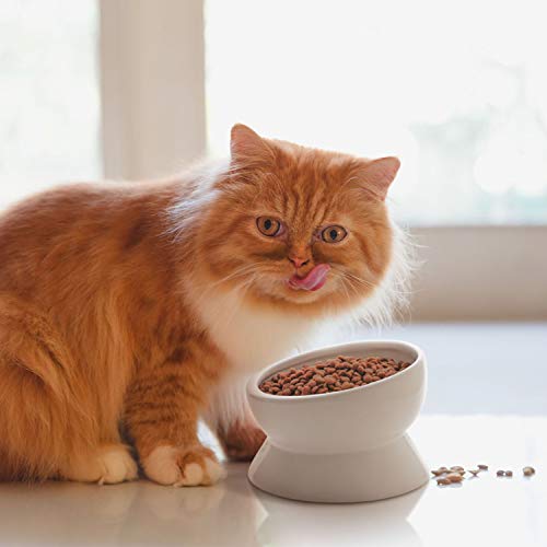  Y YHY Elevated Cat Food Bowl, Raised Pet Food And Water Bowl, Cat And Small Dog Bowl, Tilted Ceramic Cat Water Bowl No Spill,15oz, Dishwasher Safe