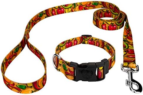  Country Brook Petz - Deluxe Scorching Peppers Dog Collar And Leash Limited Edition - Tasty Collection With 5 Yummy Designs (1/2 Inch, Extra Small)