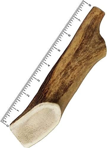  Mighty Paw Elk Antlers For Dogs | Medium Size 6" Premium Deer Antlers For Dogs, Pets And Puppies. Long Lasting Deer Antler Dog Chew For Aggressive Chewers. Dog Antler Chews For Large And XL Dog (2pk)