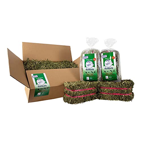  Grandpa's Best Premium Alfalfa Hay 5lb Loose Boxed, Brown