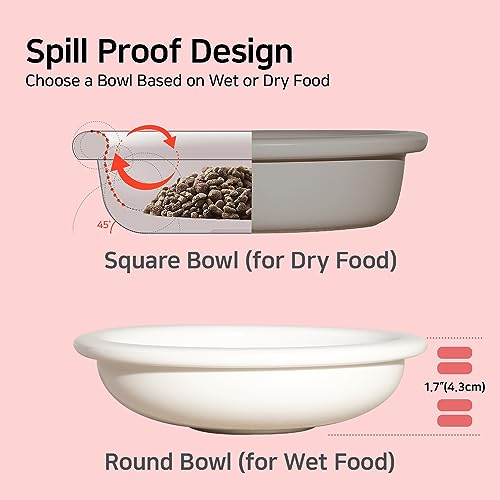  BOWLBOWL Elevated Cat Dog Bowls For Small Dogs, 6.5" Wide Raised Cat Food Bowls Whisker Friendly, Anti Vomiting Cat Bowls For Indoor Cats, No Spill Dog Bowl, Made In Korea! (3.9", Round, Pink)