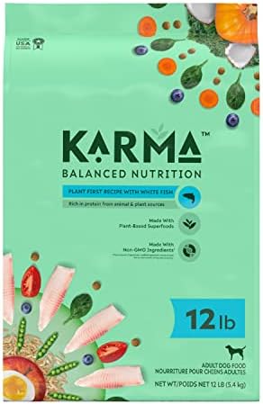  KARMA BALANCED NUTRITION Plant-First Recipe, Adult Natural Dry Dog Food With Chicken, 4 Lb. Bag