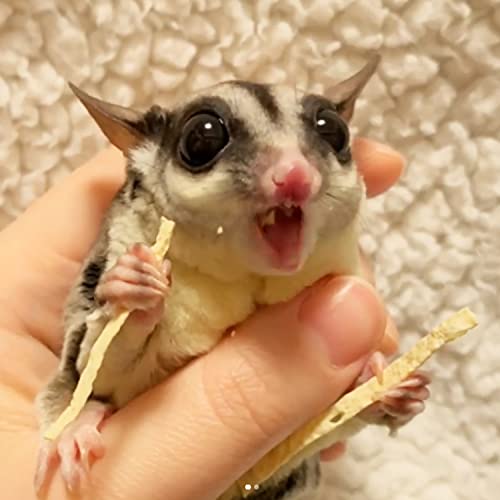  Treat Assortment 10 Pack - Healthy Treat With Mix Of Dried Fruits, Dried Insects, & Crunchies - Sugar Gliders, Rats, Chinchillas, Parrots, Guinea Pigs, Hamsters, Small Animals - Sample Variety