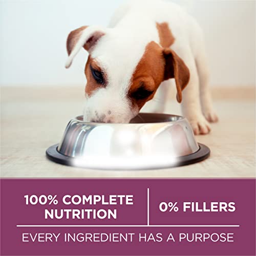  Purina ONE Plus Healthy Puppy Formula High Protein Natural Dry Puppy Food With Added Vitamins, Minerals And Nutrients - 31.1 Lb. Bag