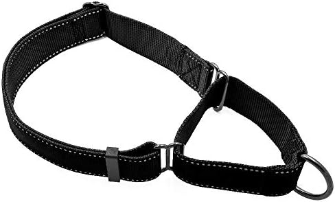  Max And Neo Nylon Martingale Collar - We Donate A Collar To A Dog Rescue For Every Collar Sold (Medium, Teal)