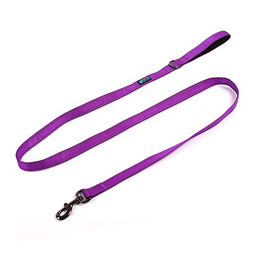  Max And Neo Reflective Nylon Dog Leash - We Donate A Leash To A Dog Rescue For Every Leash Sold (Purple, 4x1)