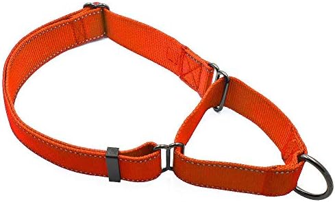  Max And Neo Nylon Martingale Collar - We Donate A Collar To A Dog Rescue For Every Collar Sold (Medium, Teal)