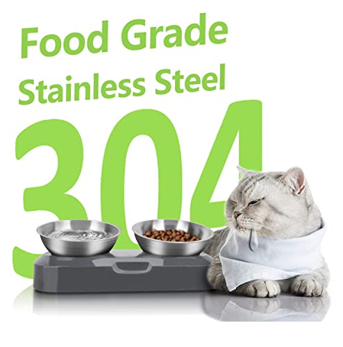  AYADA Raised Cat Food Bowl Set, Stainless Steel Cat Dish For Food Water Anti Vomiting Elevated With Stand Ergonomic Lifted Slanted Tilted 15 Angle Metal Double Kitty Kitten Wet Food Bowl 2 Pet Bowl