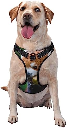  Pet Dog Vest Harness Set Red Panda Eat Food Dog Harness For Small Medium And Large Dogs