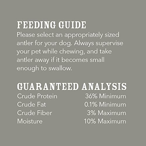  Amazon Brand - Wag Dog Elk Antler Chew, Naturally Shed, Whole, Medium 6-7.5 Inches (Best For Dogs 15-30 Lbs)