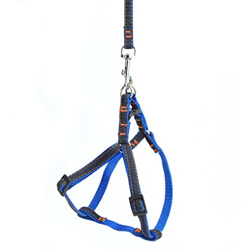  FakeFace Heavy Duty Denim Nylon No Pull Dog Leash Harness/Collar Set For Medium Large Dogs Of High Durability Adjustable, Perfect For Training Walking Dogs