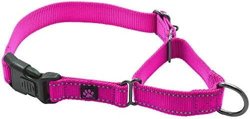  Max And Neo Nylon Martingale Collar - We Donate A Collar To A Dog Rescue For Every Collar Sold (Medium, Teal)