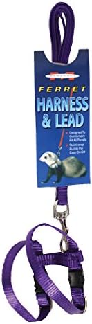  MARSHALL PET Products 572018 Ferret Harness & Lead Purple, 48 In