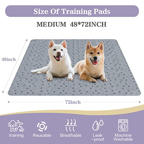  SCLOSE Washable Pee Pads For Dogs 48"x72", Washable Dog Pee Pads,Reusable Training Pee Pads For Dogs Washable,Non-Slip ,Super Absorbent Incontinence,Waterproof Dog Whelping Mat