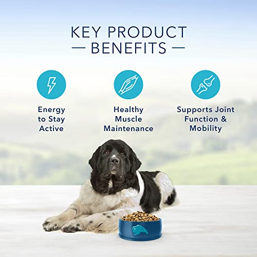  Blue Buffalo Life Protection Formula Natural Senior Large Breed Dry Dog Food, Chicken And Brown Rice 30-lb