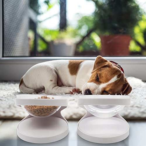  AYENCI Cat Automatic Water, Pet Food Bowl For Dog Cat Feed Bowl With Stand Protect Spine Feeder Kitty Plate Puppy Dish Drinking Bottle Dog Water Bowl
