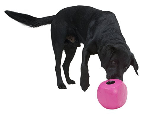  Kruuse Buster Food Cube Feeder, Purple