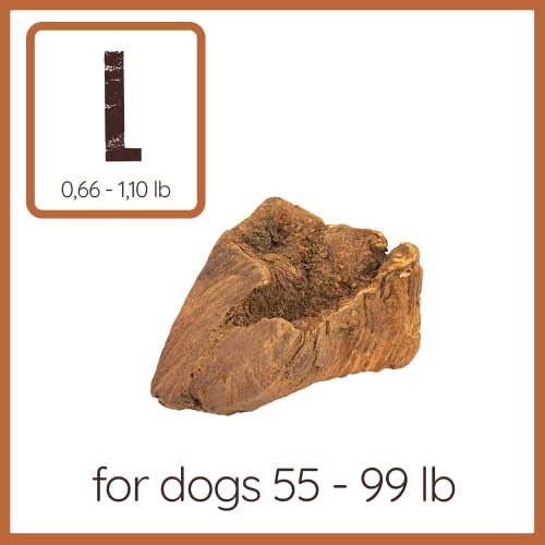  Wildfang® | Chewing Root Made From Tree Heather For Dogs, Dental Care & Masticatory Muscle Training, Natural Chew Toy……