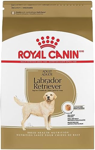  Royal Canin Labrador Retriever Adult Dry Dog Food, 30 Lb Bag