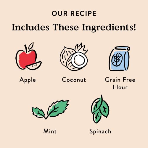  Bocce's Bakery Dailies Brushy Sticks To Support Oral Health & Fresh Breath, Wheat-Free Dental Bars For Dogs, Made With Real Ingredients, Baked In The USA, All-Natural Coconut & Mint, Medium Dogs