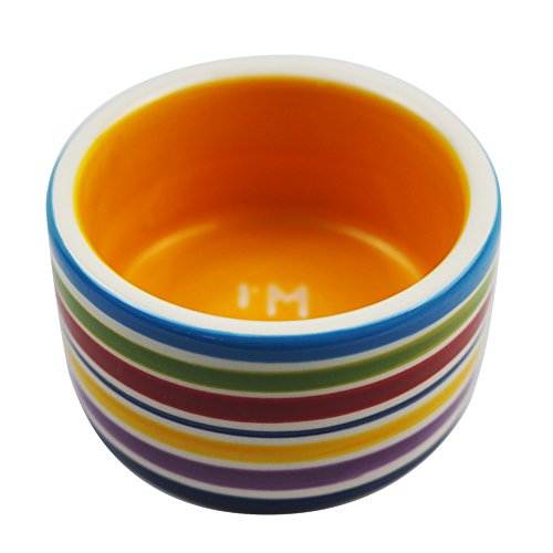  OMEM Hamster Food Bowl Ceramic Prevent Being Tipped Over Small Animal Water Dish For Guinea Pig Rodent Gerbil Cavy Hedgehog Feeding Bowl (Rainbow Stripe)