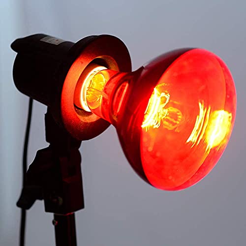  BONGBADA 6 Pack Heat Lamp Bulb R95 75 Watt Full Red Infrared Glass Lamp Bulb For Food Service, Brooder Bulb,Chicks, Pet, Bathroom,Light Therapy,Reptiles And Amphibian Use E26 Base