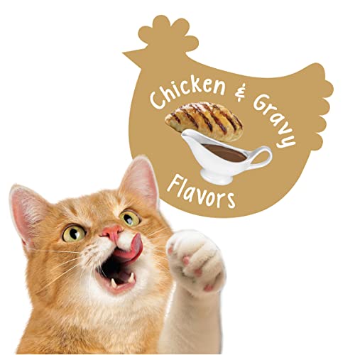  Nestle Purina Petcare 20 Oz Friskies Party Mix Gravy-licious Chicken & Gravy Flavors Cat Treats - (Pack Of 3)