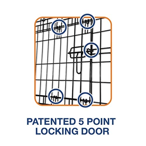 Petmate Precision Pet Products Two Door Provalue Wire Dog Crate, 24 Inch, For Pets 15-30 Lbs
