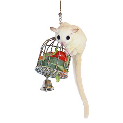  Fruit And Veggie Basket - Durable Treat Foraging Cage Accessory Toy - Squirrels, Chinchillas, Prairie Dogs, Degus, Sugar Gliders, Skunks, Opossums, Marmosets, Rabbits, Guinea Pigs & Other Small Pets