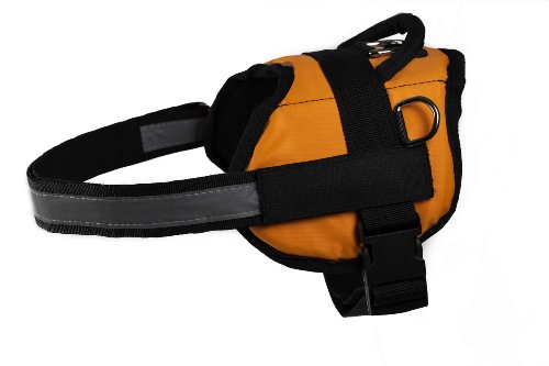  Dean & Tyler DT Works Fun Harness Will Fetch For Food Pet Harness, XX-Small, Fits Girth Size 18-Inch To 21-Inch, Orange/Black