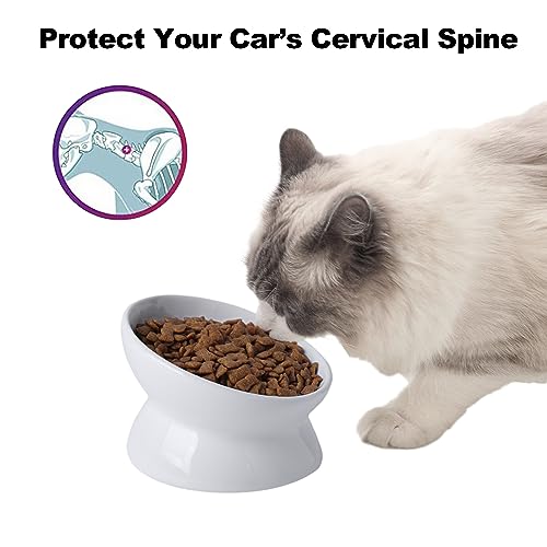  KITCHENLESTAR Cat Food Bowl 6", Elevated Tilted Cat Bowl, Raised Cat Bowls For Adult Cats Or Dogs, Ceramic Pet Food Water Dish 8 Oz, (White)